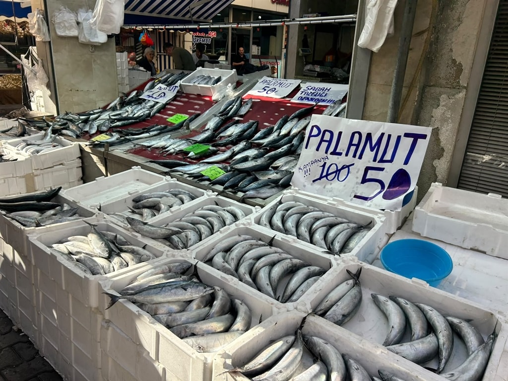 İnebolu'da Palamut Bolluğu: Tanesi 40 Liraya Düştü