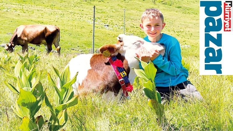 İnekleriyle Doğayı Korumaya Adamış Bir Çocuk: Ufuk Sıraç Köroğlu
