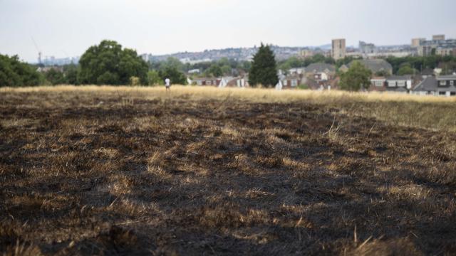 İngiltere'de Rekor Sıcaklık: West Midlands'da Yangın Alarmı