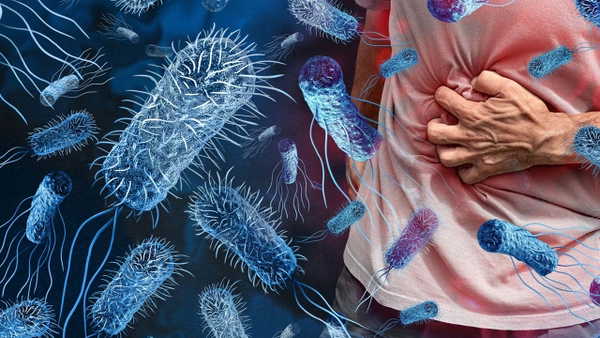 İngiltere'de salmonella salgını: 207 vaka, 1 ölüm