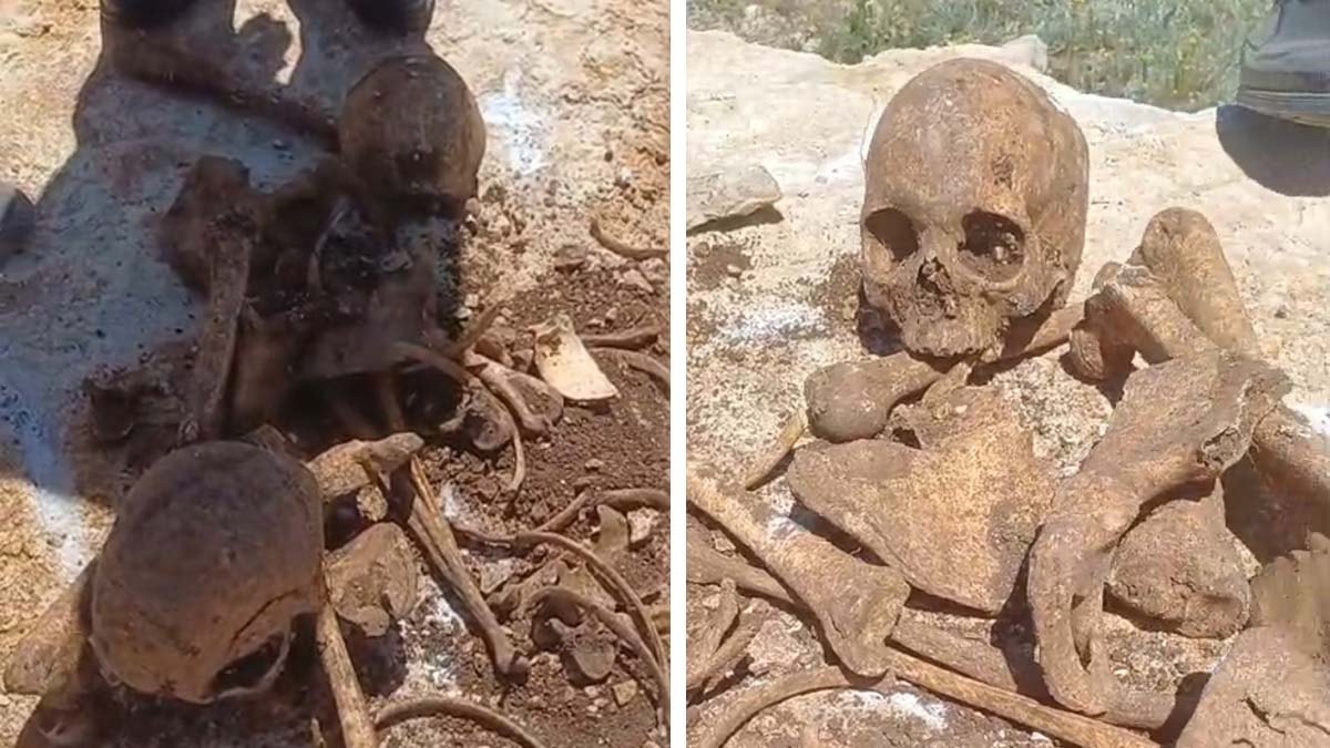 İnşaat kazısında insan kemikleri ve 2 kafatası bulundu