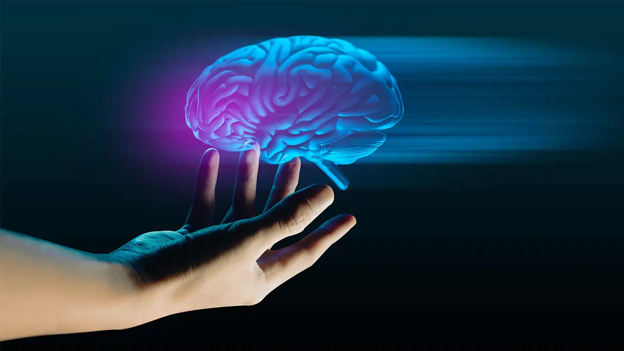 İnsan Beyin Kökünün En Detaylı 3D Atlası Oluşturuldu: Alzheimer ve Parkinson'a Umut