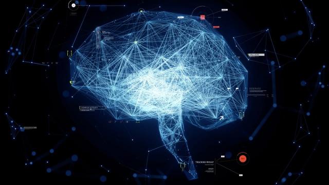 İnsan Beyni İki Ayrı Organ Olarak Gelişiyor: Stanford'dan Çığır Açıcı Keşif