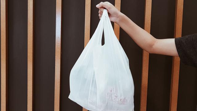 İran Savaşı Japonya'da Plastik Poşet Krizine Yol Açtı