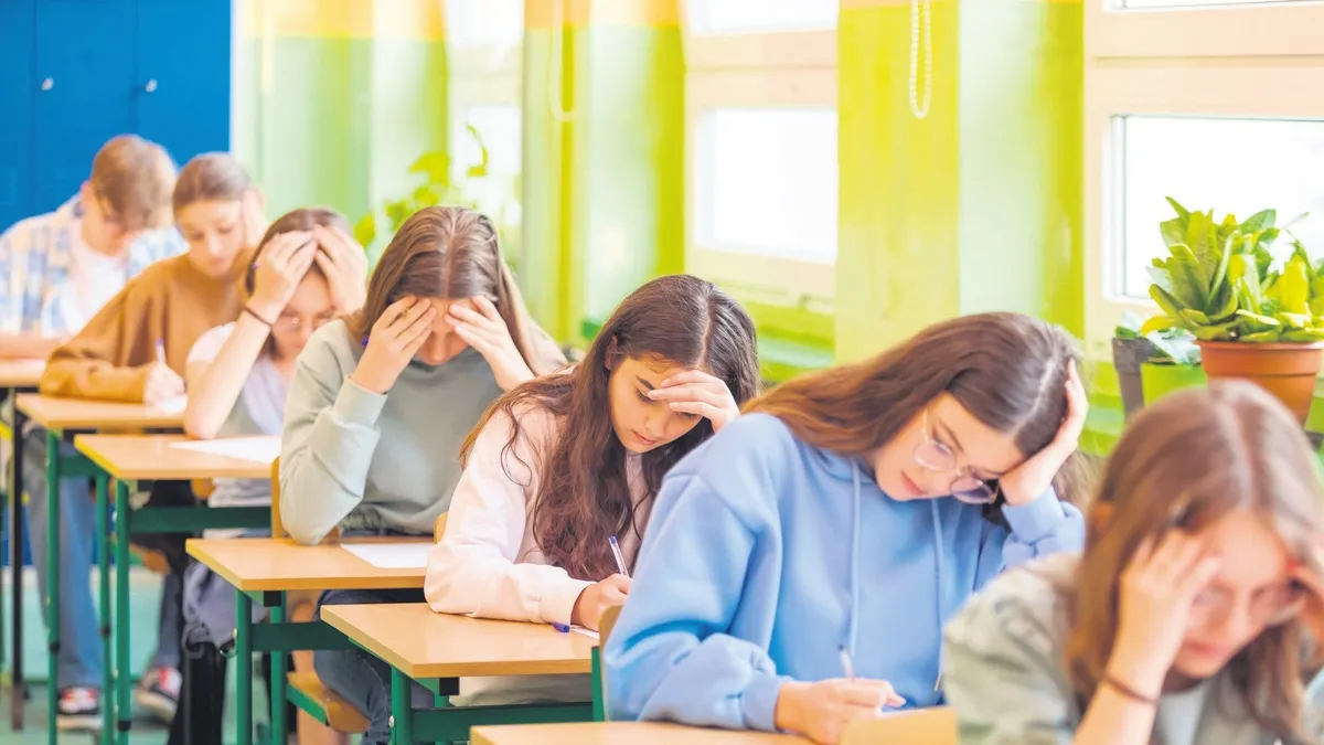 İŞKUR Danışman Bilgi Sistemi öğrenci ve velilerin hizmetine sunuldu
