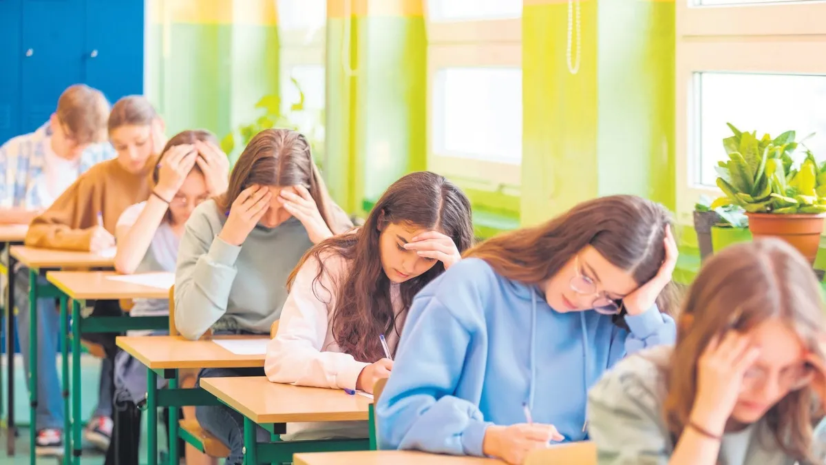 İŞKUR Danışman Bilgi Sistemi öğrenci ve velilere açıldı
