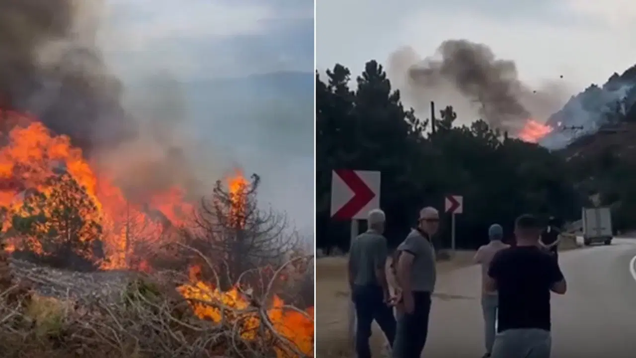 Isparta Eğirdir'de orman yangını: Alevler yerleşim yerlerine yaklaşıyor