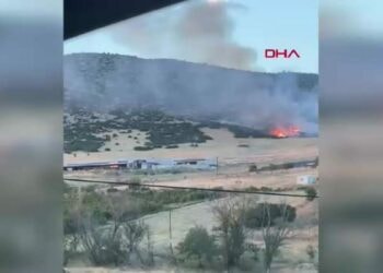 Isparta Eğirdir'de mangal ateşi örtü yangınına yol açtı