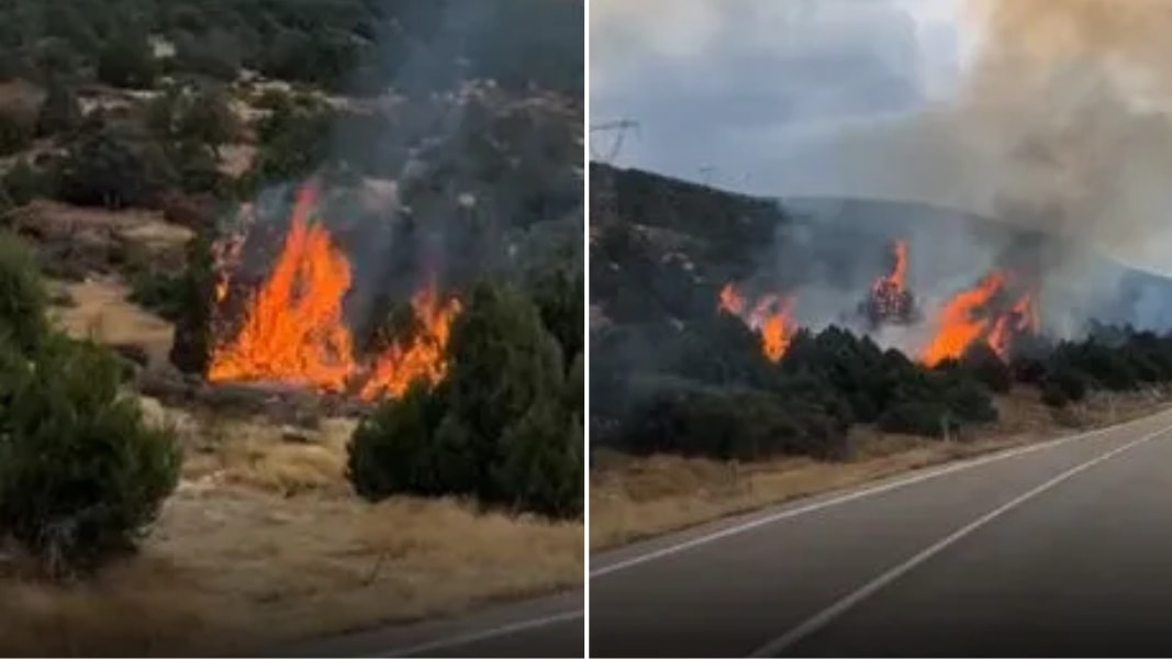 Isparta'da orman yangını: Eğirdir'de alevler büyüdü
