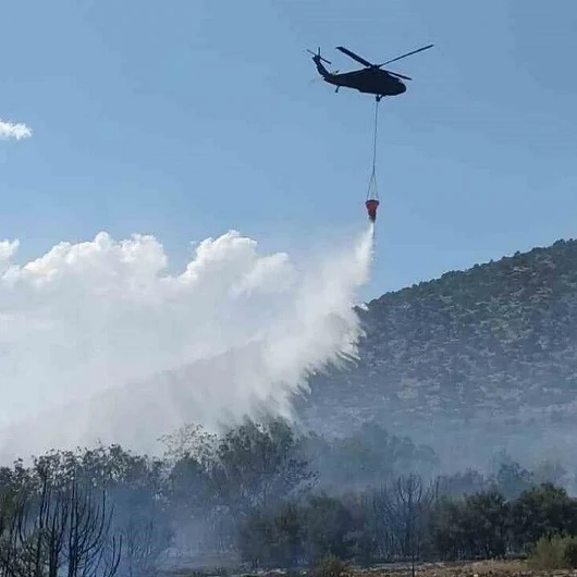 Isparta'da orman yangını: Alevler büyümeden söndürüldü