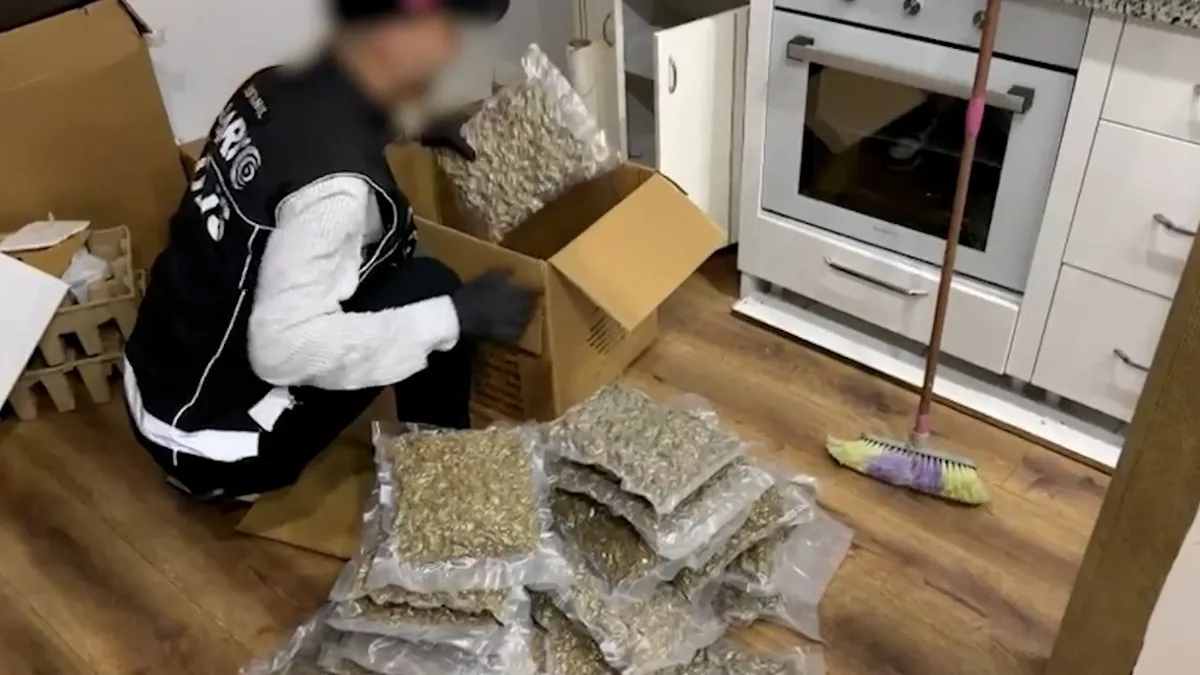 İstanbul'da 3 İlçede Eş Zamanlı Uyuşturucu Operasyonu: 45 Kilo Skunk Ele Geçirildi