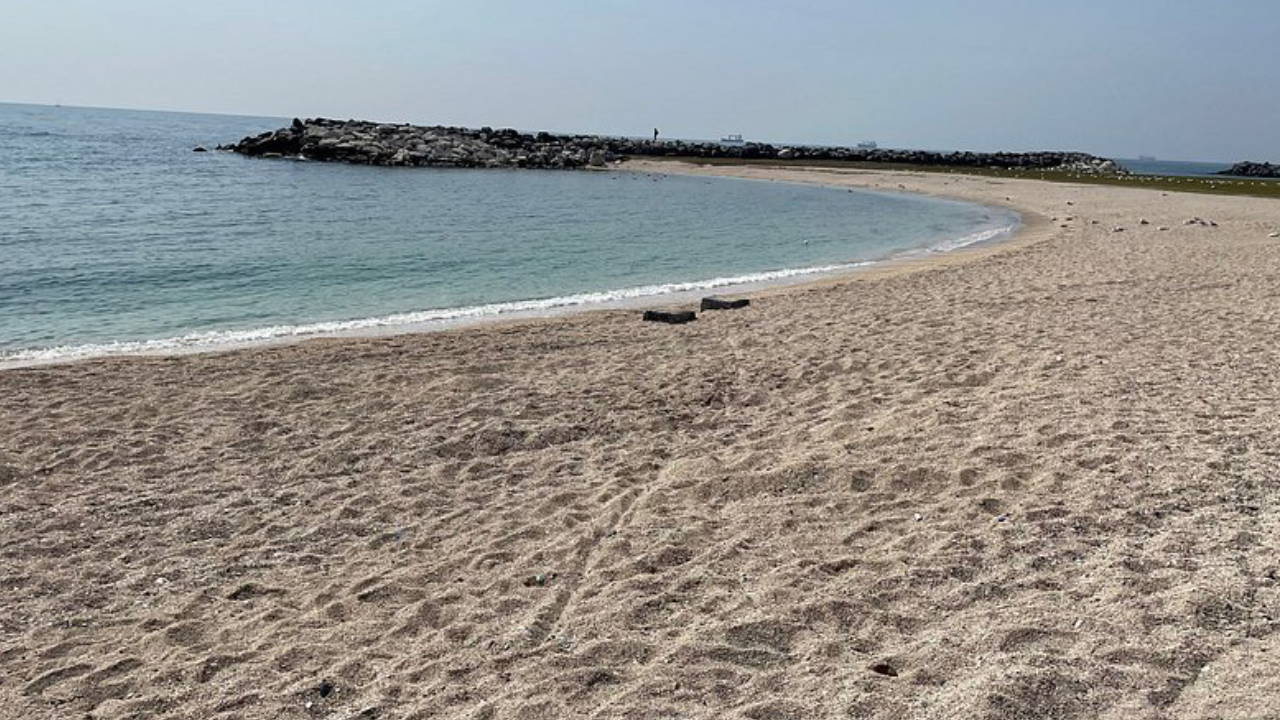 İstanbul'da 3 Plaj Halk Sağlığı Nedeniyle Geçici Olarak Kapatıldı