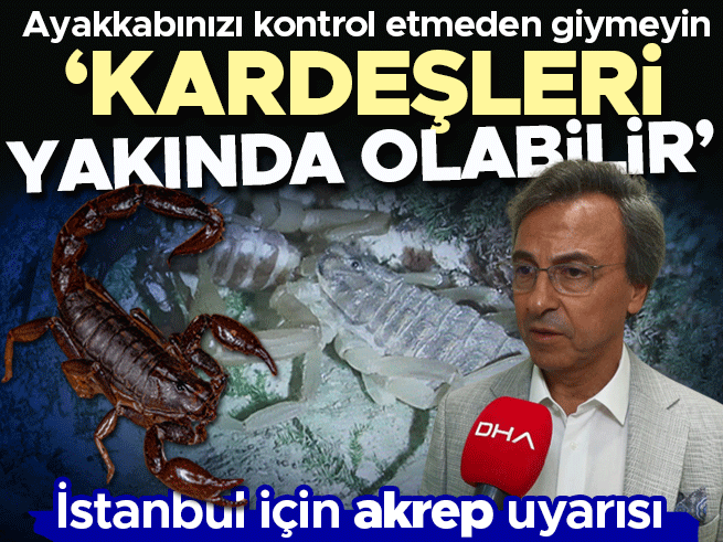 İstanbul'da akrep vakaları artıyor: Prof. Dr. Aydın kritik uyarıda bulundu