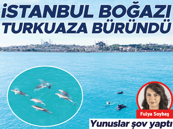 İstanbul Boğazı turkuaza döndü, yunuslar şov yaptı