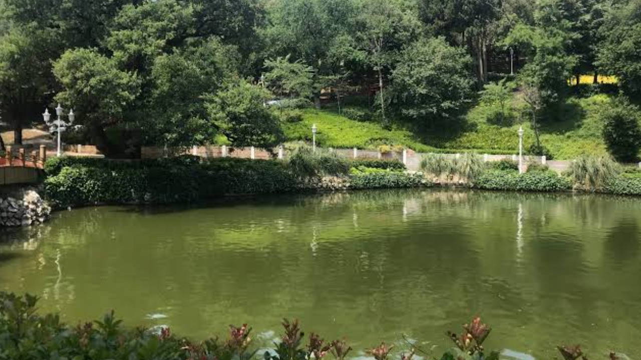İstanbul'da Katılımcı Bütçe Sonuçları: Yeşil Alan Projeleri Öne Çıktı