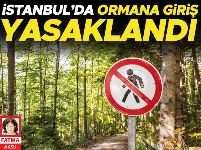 İstanbul'da Orman Yangınlarına Karşı Önlem: 15 Ekim'e Kadar Giriş Yasak