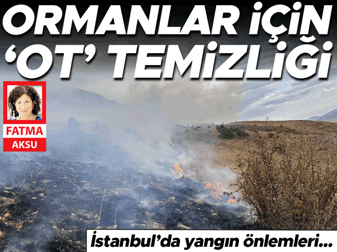 İstanbul'da orman yangınlarına karşı ot temizliği seferberliği