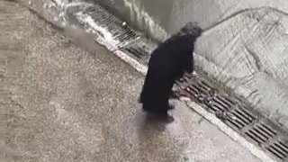 İstanbul'da Sağanak Sonrası Mazgal Görüntüsü Gündem Oldu