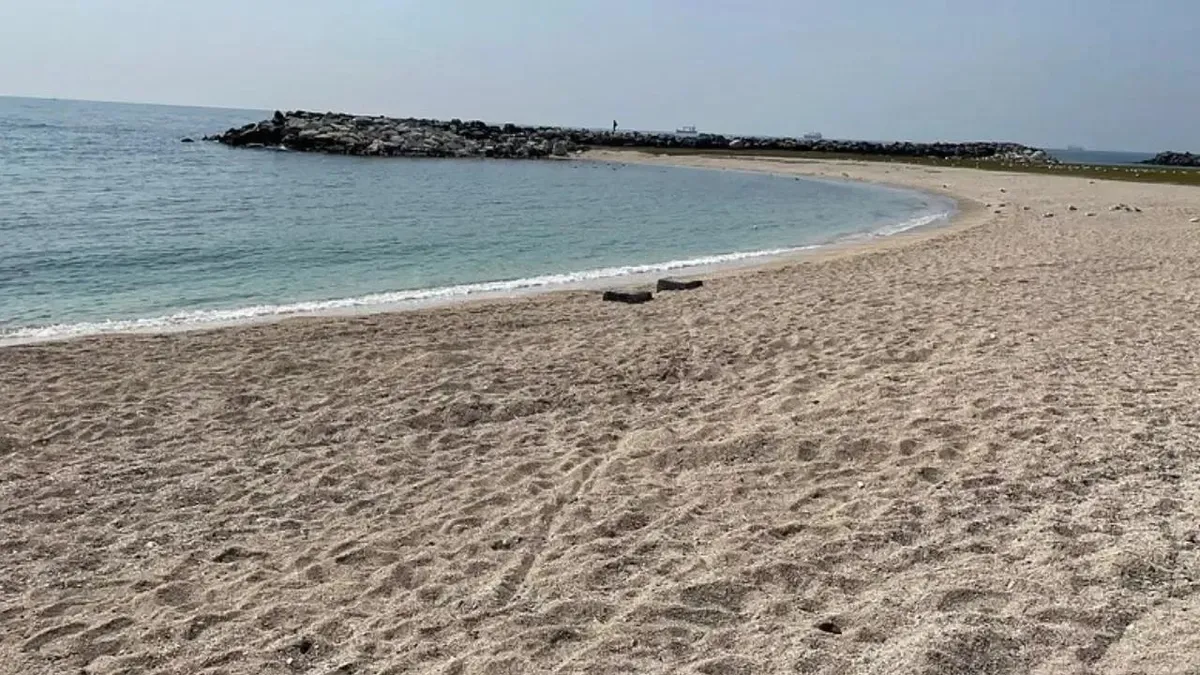 İstanbul'da 3 Plaj Kirlilik Nedeniyle Kapatıldı
