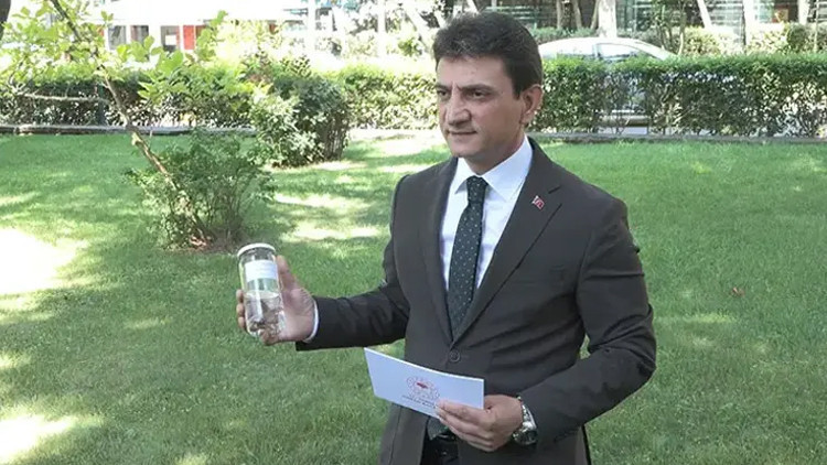 İstanbul'da çekirge istilası yok: Tarım Müdürü'nden açıklama