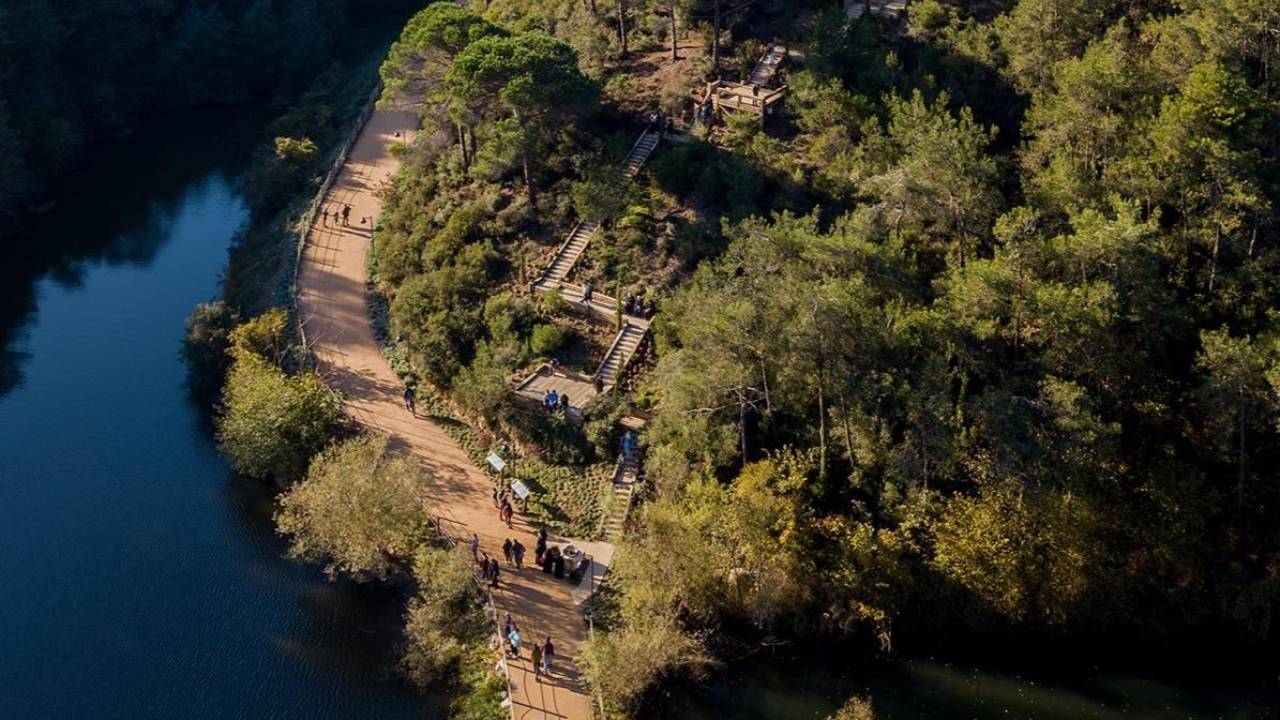 İstanbul'da Fırtına Alarmı: Bazı Koru ve Kent Ormanları Ziyarete Kapatıldı