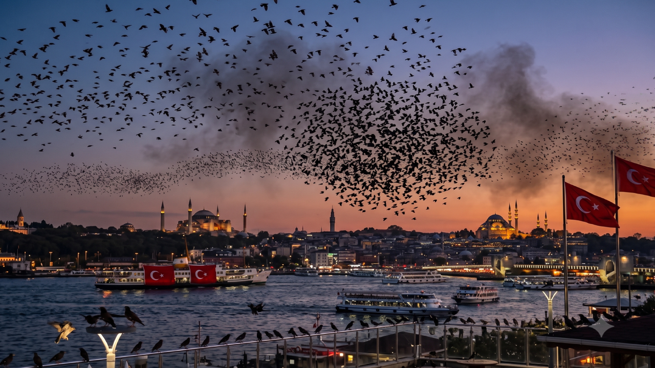İstanbul'da İstilacı Tür: Pakistan Kökenli Zehirli Yılanlar Korku Saçıyor