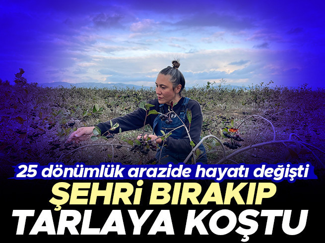 İstanbul’dan Samsun’a: Tekstili Bırakıp Aronya ve Çilek Üreticisi Oldu