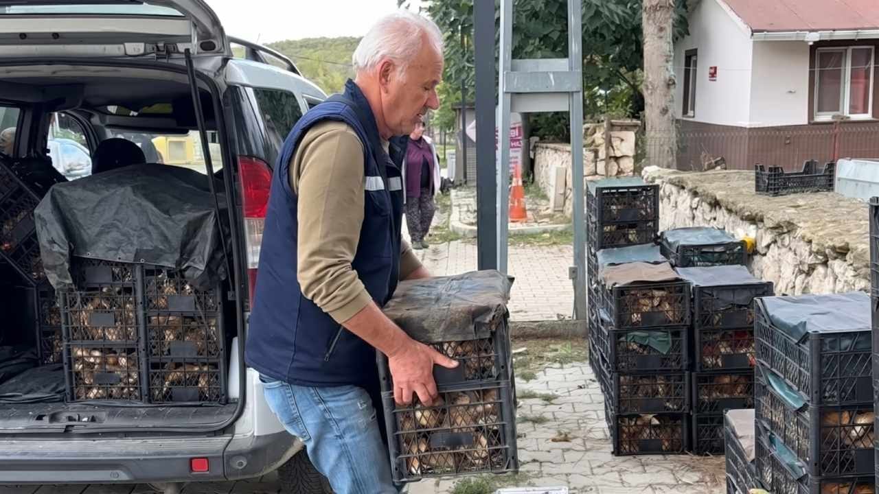 İstanbul'un dibinde bedava toplayıp servet kazanıyorlar