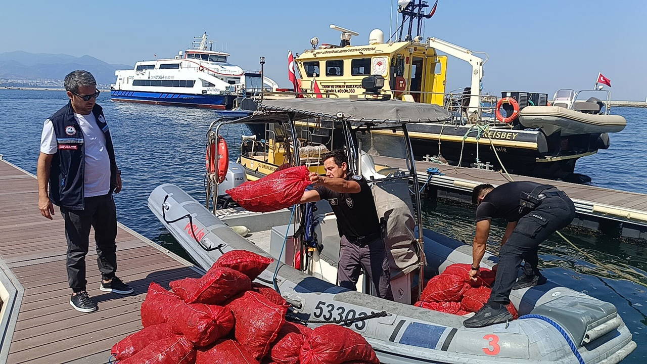 İzmir'de 560 Kilo Kaçak Kara Midye Ele Geçirildi