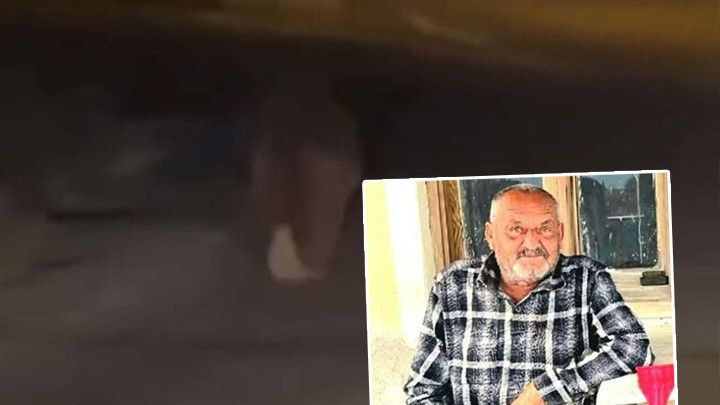 İzmir'de Ayı Saldırısı: Balkonda Uyurken Saldırıya Uğrayan Yaşlı Adam Hayatını Kaybetti