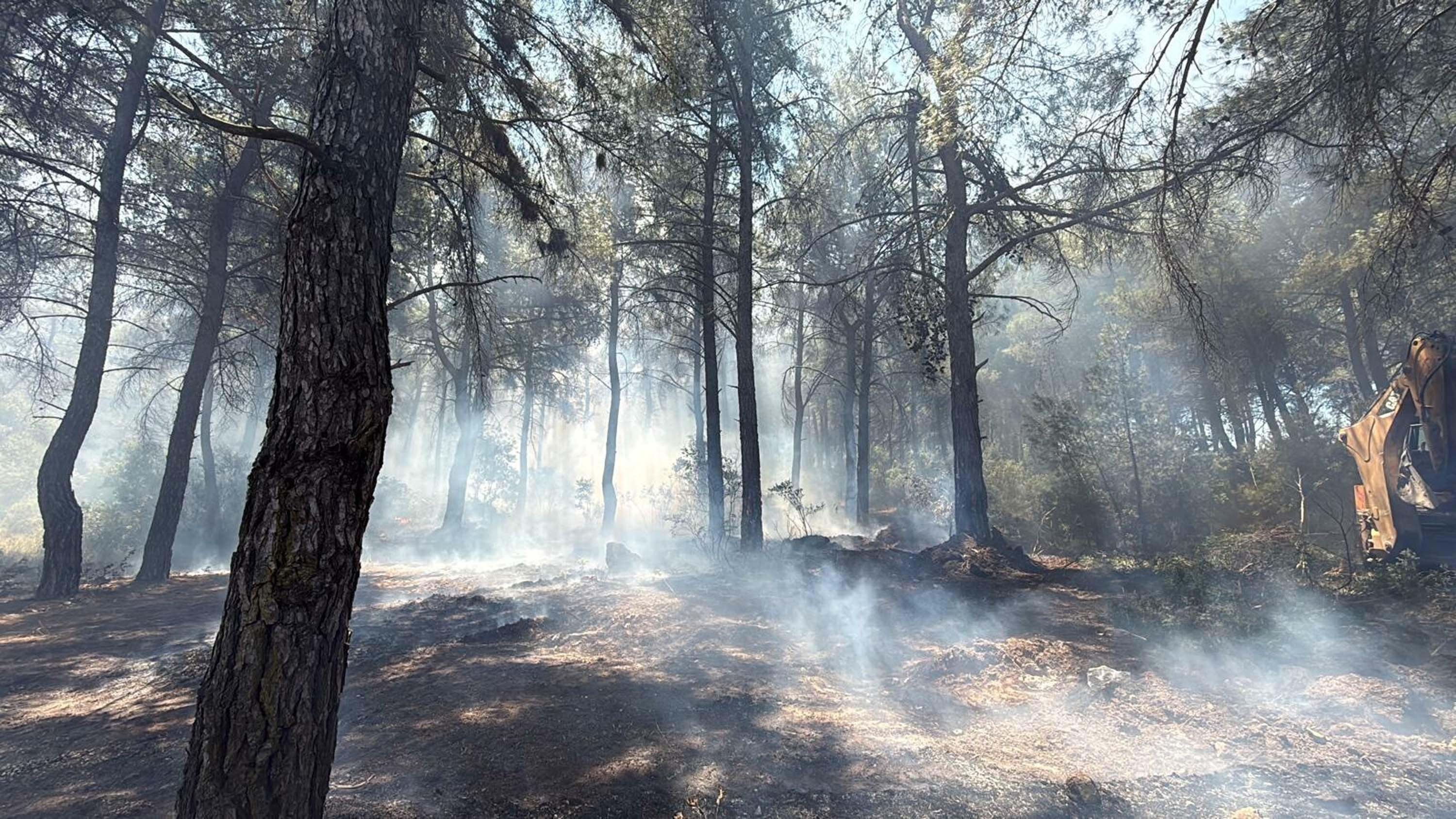 İzmir Buca'daki Orman Yangınında Bir Kişi Tutuklandı