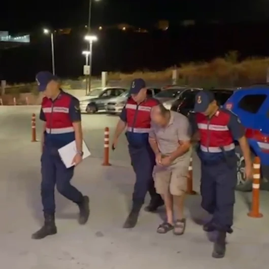 İzmir Dikili'de Köpeklere Tüfekli Saldırı: 2 Hayvan Öldü