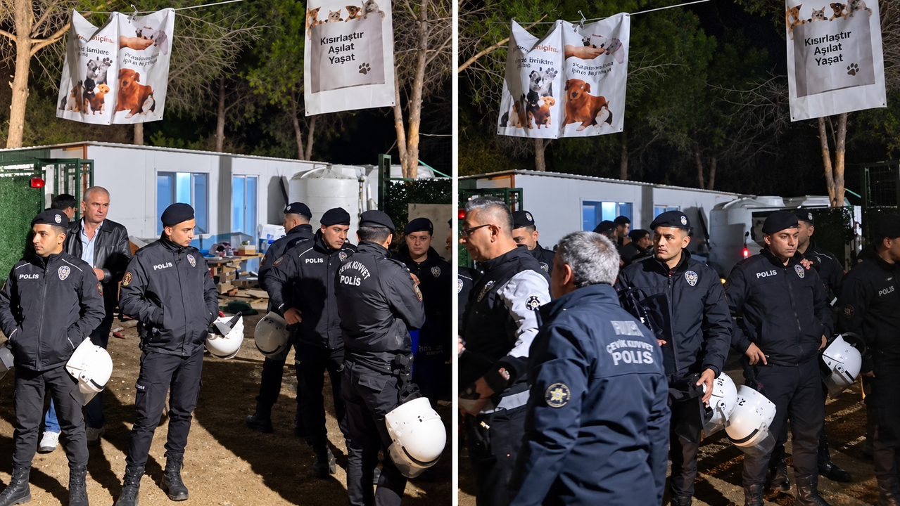İzmir'de Gece Yarısı Köpek Toplama Operasyonu: Ege Üniversitesi'nde Arbede