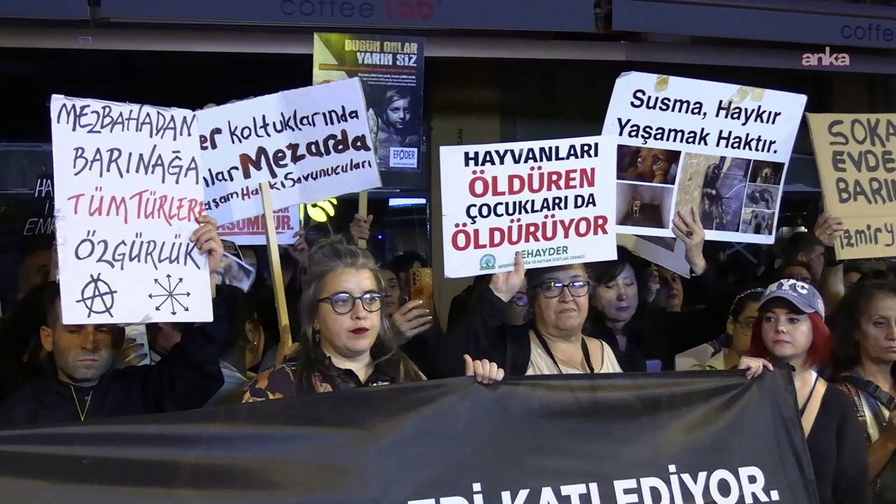İzmir'de Hayvan Hakları İçin Yeni Yasa Çağrısı