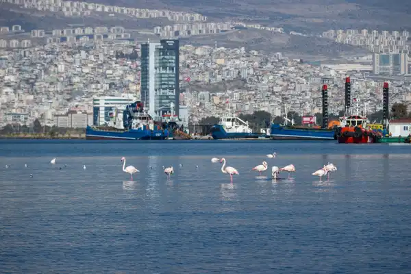 İzmir'in iklim deneyimi Avrupa'ya taşınacak