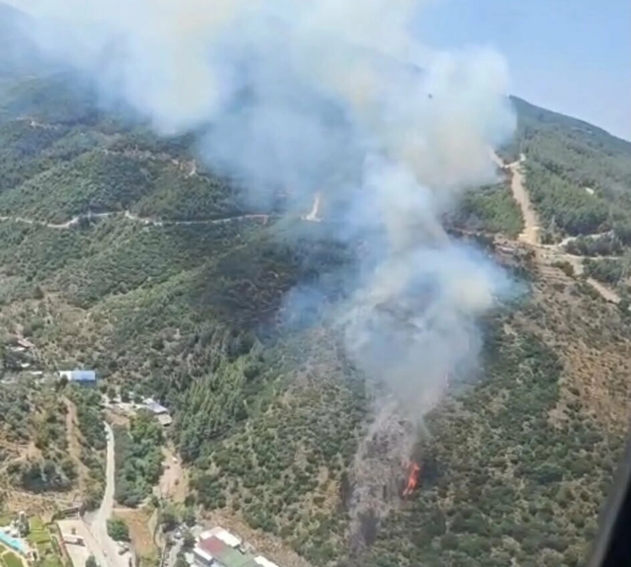 İzmir Narlıdere'de orman yangını kontrol altına alındı