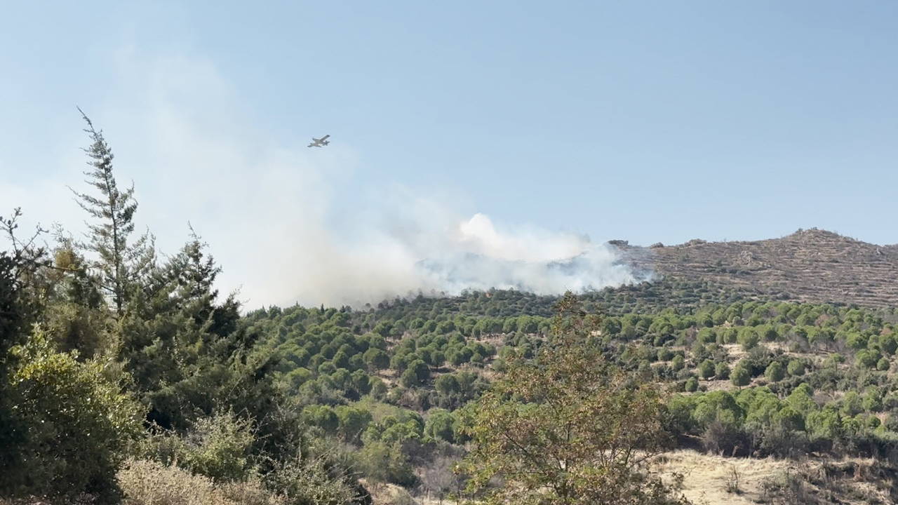 İzmir Ödemiş'te orman yangını: Ekipler havadan ve karadan müdahale ediyor