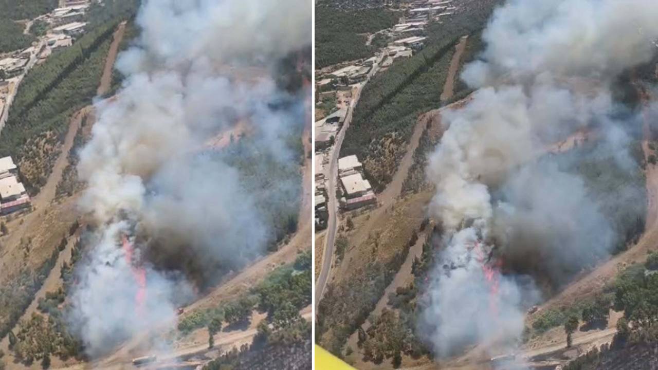İzmir'de otluk alandaki yangın ormana sıçradı, ekipler seferber oldu