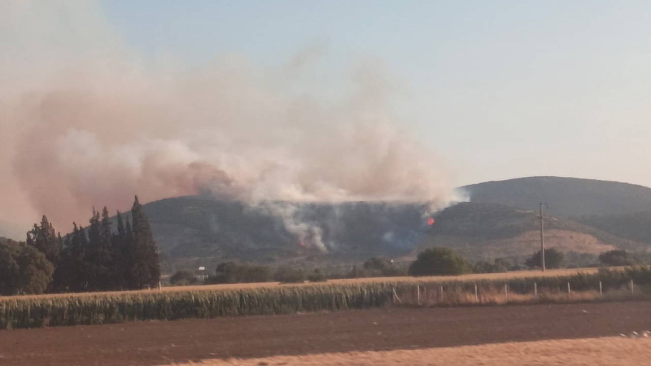 İzmir Torbalı'da Orman Yangını: Havadan ve Karadan Müdahale Sürüyor