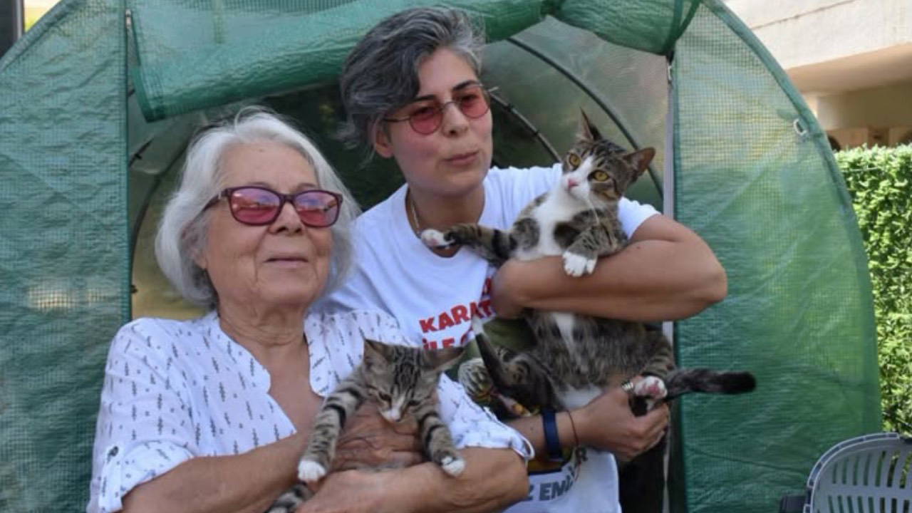 İzmir'de 6 Milyonda 1 Görülen Vaka: Erkek Sanılan Kedi Doğurdu