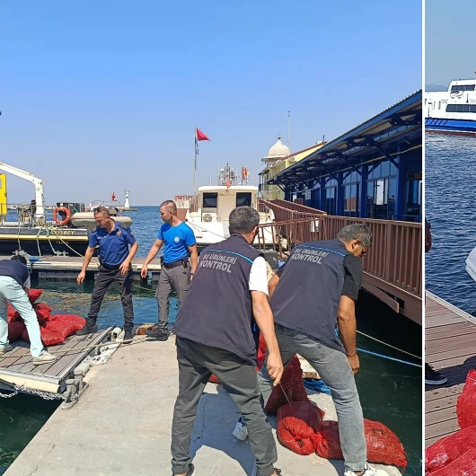 İzmir'de Kaçak Kara Midye Avına Büyük Darbe: 560 Kilo Ele Geçirildi