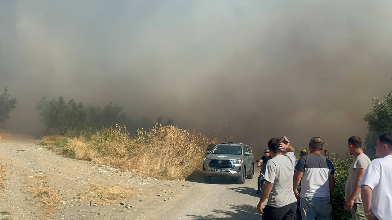 İznik'te çöplük yangını çalılığa sıçradı, havadan müdahale sürüyor
