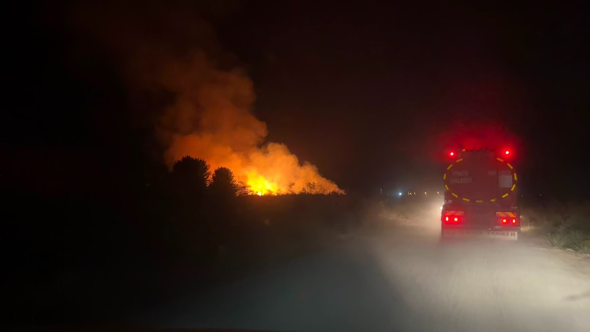 İznik'te Sazlık Yangını: 1 Saatte Kontrol Altına Alındı