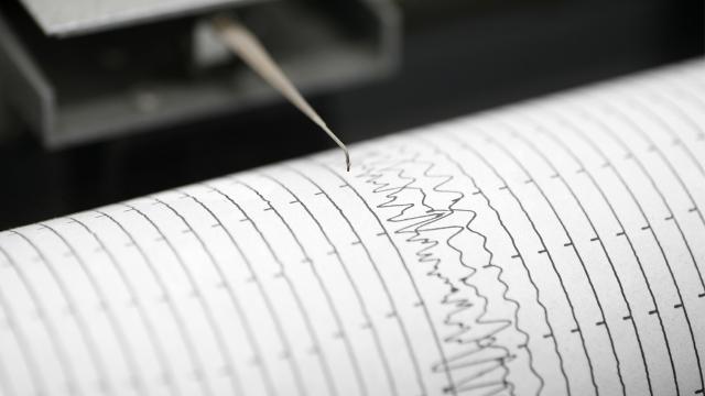 Japonya'nın Güneyinde 7,1 Büyüklüğünde Deprem: Tsunami Uyarısı Yok