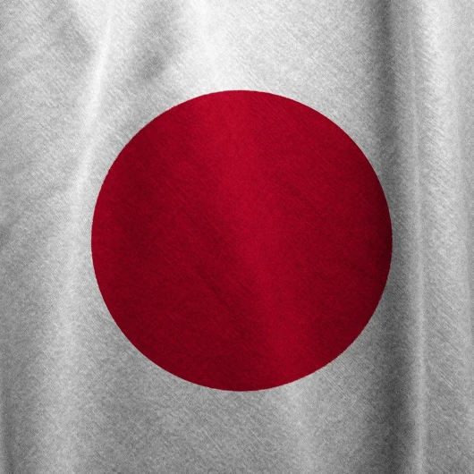 Japonya'da Şiddetli Yağışlar: Chiba'da 8 Can Kaybı