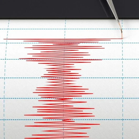 Japonya'da 6 Büyüklüğünde Deprem: Tsunami Riski Yok