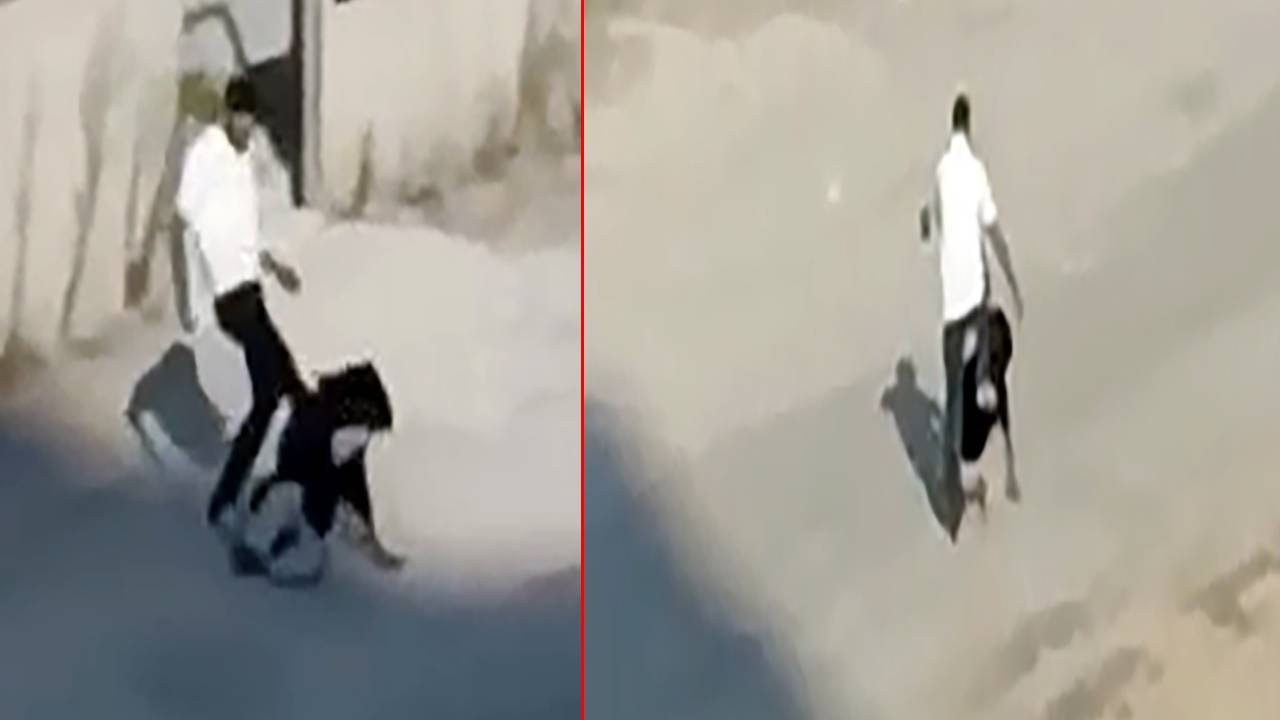 Kadını Tekmeleyen Saldırgan, Şikayetçi Olunmayınca Serbest