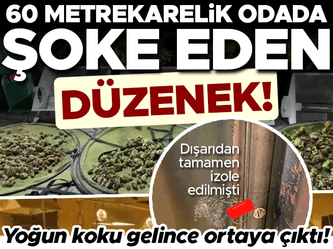 Kağıthane'de izole odada dev uyuşturucu serası: 30 milyon liralık düzenek