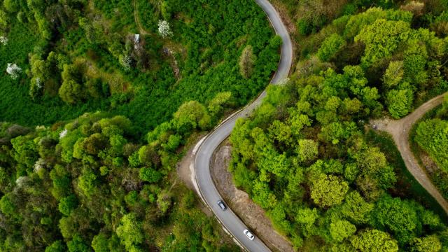 Kahramanmaraş'ta orman yangını riskine karşı giriş yasağı