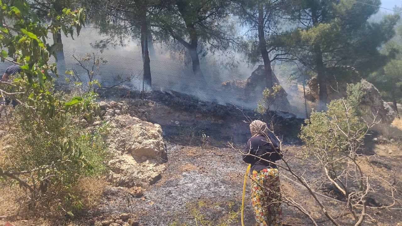 Kahramanmaraş'ta orman yangını: Ekipler havadan ve karadan müdahale ediyor